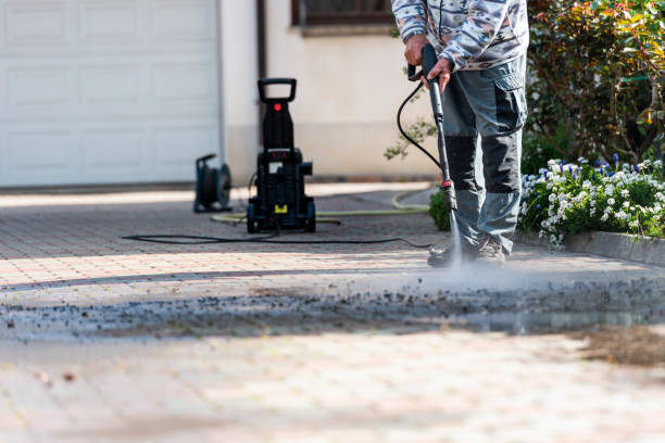 Best Pressure Washing Near Me  in Arizona City, AZ